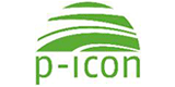 p-icon GmbH & Co. KG